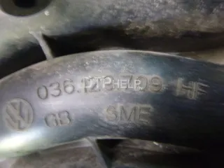 036129709HF Коллектор впускной Volkswagen Polo 4 Арт AM21162119, вид 3