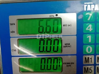 06B103295R Насос масляный Volkswagen Passat B5 Арт AM48543436, вид 6