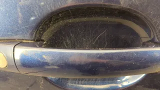 1Z0831056 Дверь передняя правая синяя Skoda Octavia A5 Арт 20339644, вид 2