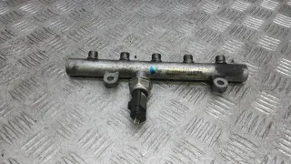 9645689580 Топливная рампа дизельная Peugeot 407 Арт 4EP22BB01, вид 3