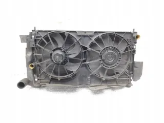 PM145100-A976 05058759AD Радиатор (основной) Jeep Compass 1 restailing Арт e7377603, вид 10