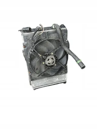 7700839275E 7700784652 Радиатор (основной) Renault Megane 1 Арт e8844334, вид 1