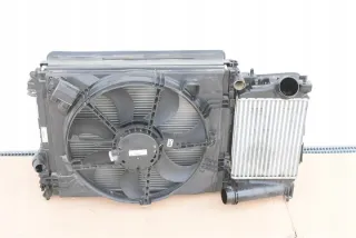 214109798R 214813939R Радиатор (основной) Renault Scenic 4 Арт e9078360, вид 1