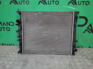 2069016000, 6600135977, 4 Радиатор двигателя (двс) Geely Atlas 1 Арт 377968RM, вид 1