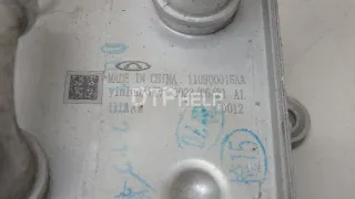110900015AA Теплообменник Chery Tiggo 7 PRO Арт AM70758498, вид 5