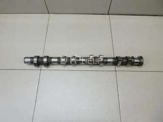 94810521454 Распредвал выпускной Porsche Cayenne 955 Арт AM12930738, вид 1