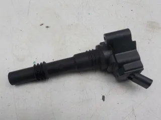 5511695966 Катушка зажигания Geely Coolray Арт BIT781399, вид 1