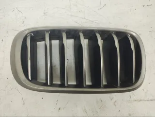 51137349388 Решетка радиатора BMW X6 F16 Арт lz191011, вид 1
