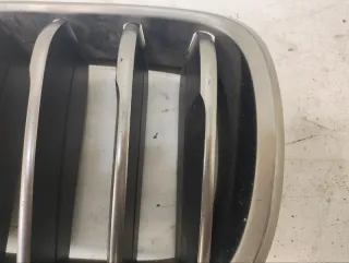 51137349388 Решетка радиатора BMW X6 F16 Арт lz191011, вид 2