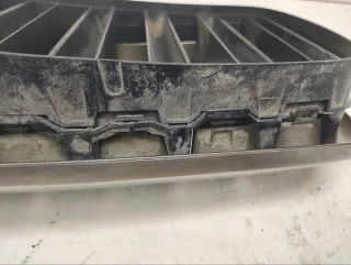 51137349388 Решетка радиатора BMW X6 F16 Арт lz191011, вид 8