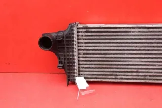 A1645001900 Интеркулер Mercedes R W251 Арт e10651809, вид 2