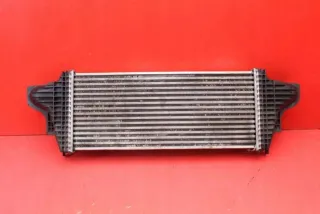 A1645001900 Интеркулер Mercedes R W251 Арт e10651809, вид 5