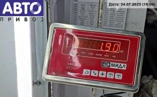  Пружина подвески задняя Ford Focus 1 Арт 54845557, вид 5