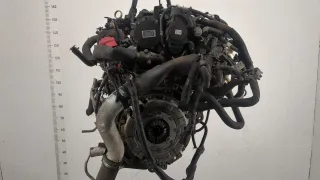 Z22D1 Двигатель Chevrolet Captiva Арт 20442526, вид 2