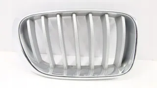 7210726 Решетка радиатора BMW X4 F26 Арт e8106594, вид 1