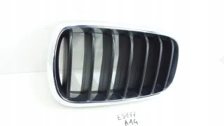 7316075 Решетка радиатора BMW X5 F15 Арт e8944951, вид 2