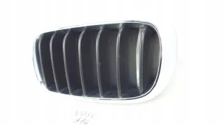 7316075 Решетка радиатора BMW X5 F15 Арт e8944951, вид 3