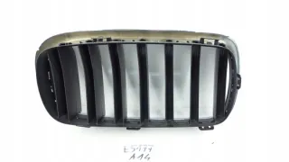 7316075 Решетка радиатора BMW X5 F15 Арт e8944951, вид 4