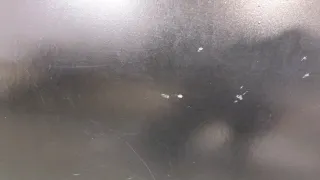  Динамик Ford Galaxy 1 restailing Арт 11311064, вид 3