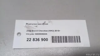 68088092AA Форсунка масляная Chrysler 300C 3 Арт E22836900, вид 6