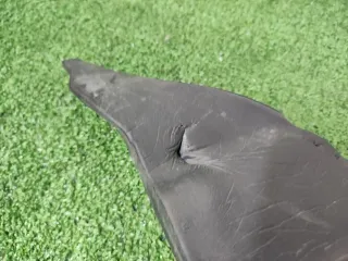 8Y0864235 Изоляция колесной арки Audi A3 8Y Арт 2-16764, вид 3