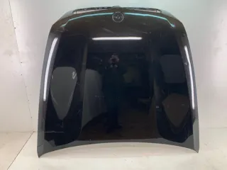 41617273439 Капот BMW X6 E71/E72 Арт 2-130315, вид 1