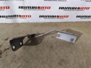 1101590 Петля капота Ford Focus 2 Арт 2-186647, вид 3