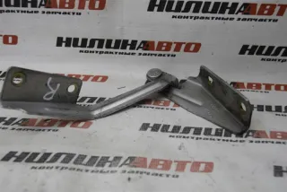 1101590 Петля капота Ford Focus 1 Арт 2-186803, вид 3