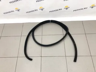 831103N000RY Уплотнитель Hyundai Equus 2 Арт 2-300307, вид 1