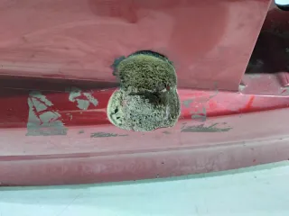 90100CA070 Крышка багажника (дверь 3-5) Nissan Murano Z50 Арт 2-460153, вид 6