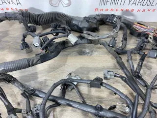 24011JL60A Проводка двигателя Infiniti G 4 Арт 2-492242, вид 29