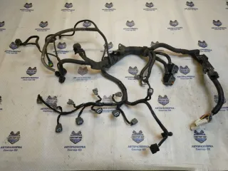 24011JD02B Проводка моторная (коса) Nissan Qashqai 1  Арт 2-595993, вид 1
