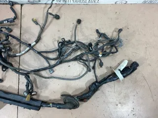 240111MA3B Проводка двигателя Infiniti M (Y50) Арт 2-690731, вид 3