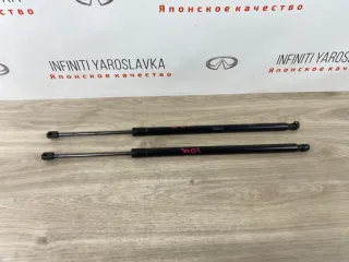 FB5Z78406A10B Амортизаторы багажника Ford Explorer 5 Арт 2-762562