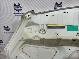 F5100JD0M0 Капот Nissan Qashqai 1  Арт 2-873006, вид 19