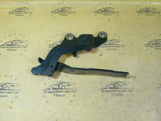 7115264 Петля капота BMW 3 E46 Арт 2-895622, вид 1