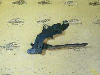 7115264 Петля капота BMW 3 E46 Арт 2-895622, вид 5