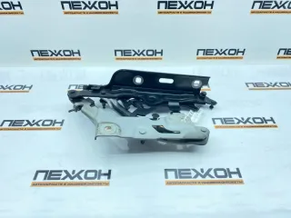 80A823301D Петля капота Audi Q5 2 Арт 2-920270, вид 1
