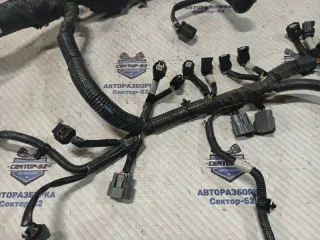 240111KA1A Проводка моторная (коса) Nissan Juke 1 Арт 2-940497, вид 3