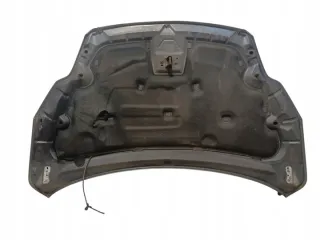 2007-2011 Капот Ford Focus 2 restailing Арт e12724150, вид 3