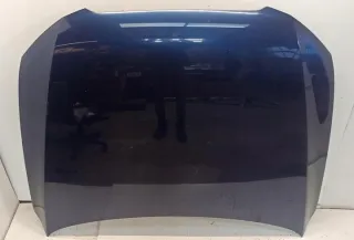8R0823029H Капот Audi Q5 1 Арт e12723506, вид 1