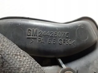 24426075 Коллектор впускной Opel Astra G Арт e12593975, вид 6