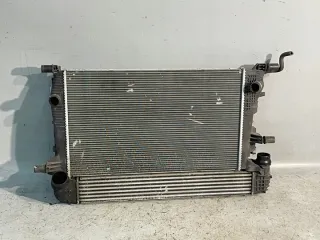 214105150R 214100002R 4RT2367 214106387R Радиатор (основной) Renault Megane 3 Арт e12217194, вид 1
