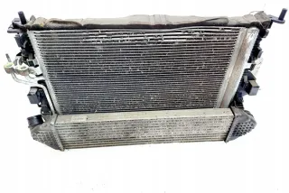 DXACB7, 8V619L440AC Радиатор (основной) Ford C-max 2 Арт e12132201, вид 3
