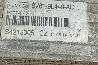6G917A095AD Радиатор (основной) Ford C-max 2 Арт e12132196, вид 4