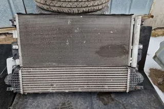DG9H19710AE Радиатор (основной) Ford Galaxy 3 Арт e12013549, вид 3