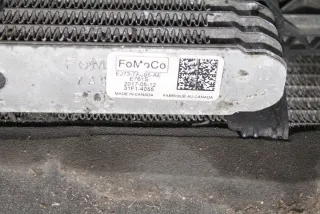 F1F18D048AB Радиатор (основной) Ford C-max 2 Арт e12013513, вид 11