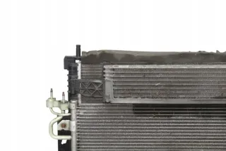 F1F18D048AB Радиатор (основной) Ford C-max 2 Арт e12013513, вид 4