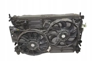 F1F18D048AB Радиатор (основной) Ford C-max 2 Арт e12013513, вид 10