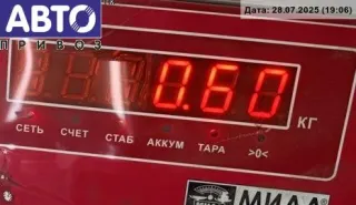 Дождевик BMW 3 E46 1999г. 8208483, 8232894 - Фото 3